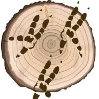 Tidewater Rehabilitation and Environmental Education