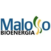 Malosso Bioenergia S/A