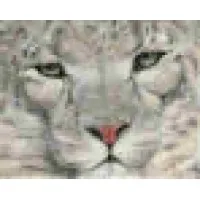 The Original Art of Wendy Palmer