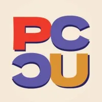 Professional Communication Course Union