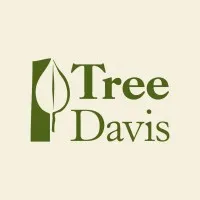 Tree Davis
