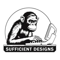 Sufficient Designs Sufficient Designs