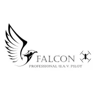 Falcon UAV