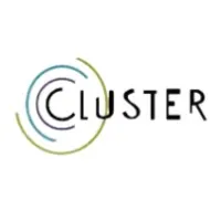 Cluster Cluster