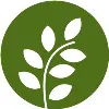 Cassena Care
