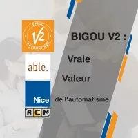 V2 BIGOU
