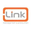 Link Entertainment LLC