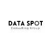 DataSpot Consulting Group DataSpot Consulting Group