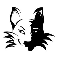 iFox Wind