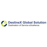 DestineX Global Solution