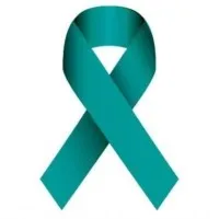 Alzheimer's Foundation of America