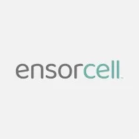 Ensorcell