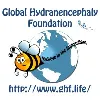 Global Hydranencephaly Foundation Global Hydranencephaly Foundation