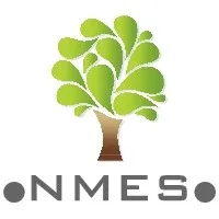 NMES NMES