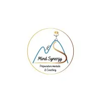 MindSynergy MindSynergy