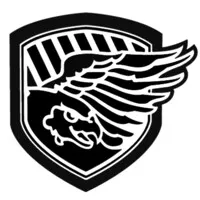 Military Systems Group, Inc.