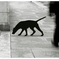 Shadowhound Ltd