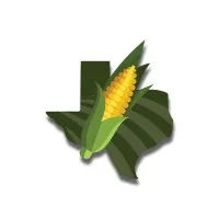 Texas Corn Producers