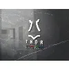 Thor and Partners Inc