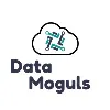 Data Moguls Data Moguls