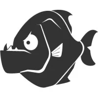 Red Carlos Solutions