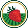 Cal Poly Strawberry Center Cal Poly Strawberry Center