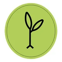 Green Leaf Psychology Green Leaf Psychology