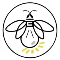 Firefly Consulting Services Firefly Consulting Services