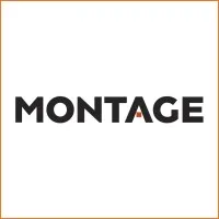Montage Professional Services