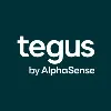 Tegus Tegus