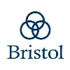 The Bristol Group PLLC The Bristol Group PLLC