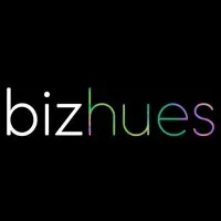 bizhues pvt. ltd.