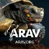 Association of Reptile and Amphibian Veterinarians (ARAV) Association of Reptile and Amphibian Veterinarians (ARAV)