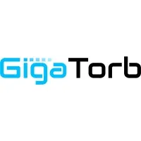 Gigatorb Software