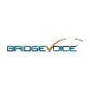 BridgeVoice.Inc