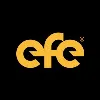 EFE Consulting Group™ EFE Consulting Group™