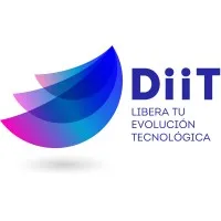 DiiT Consultores