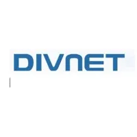 Diversified Networks Inc