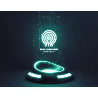 The Undivide Project