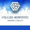 Intelcubes Incorporated Intelcubes Incorporated