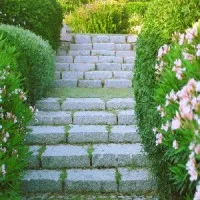 Renz Counseling, LLC Renz Counseling, LLC