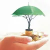 Agricultural Insurance Company Of India Limited