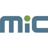 MIC Customs Solutions