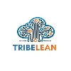 TribeLean Cloud And Data Solutions TribeLean Cloud And Data Solutions