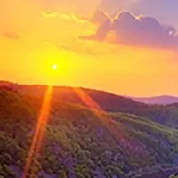 Curtin Law Office, PLLC