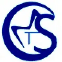 Core Minds Tech Solutions