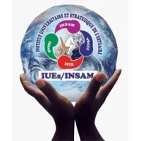 Institut Universitaire et Stratégique de l'Estuaire (IUEs/Insam)
