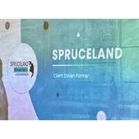 Spruceland Technologies Group Limited
