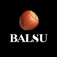 Balsu Usa Inc Balsu Usa Inc