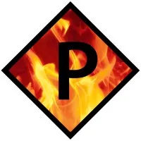 Priest & Associates Consulting, LLC